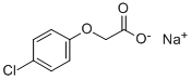 sell PGR Sodium 4-CPA 13730-98-8 In stock suppliers