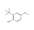 厂家现货供应 叔丁基-4-羟基苯甲醚 25013-16-5 99%